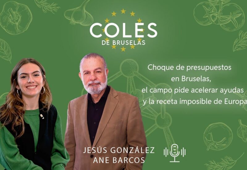 Dos personas discutiendo sobre presupuestos en Bruselas con fondo verde
